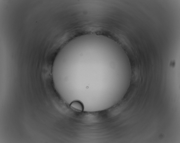 X0000093090236200710101524