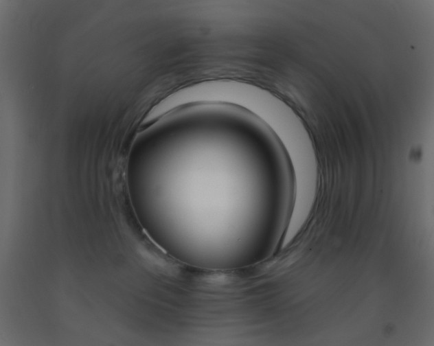 X0000093090237200710101524