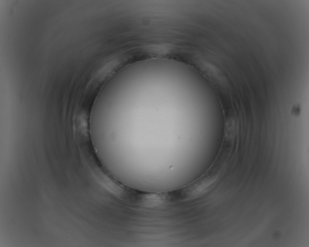 X0000093090238200710101524