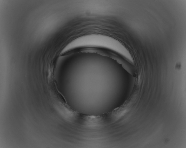 X0000093090239200710101524