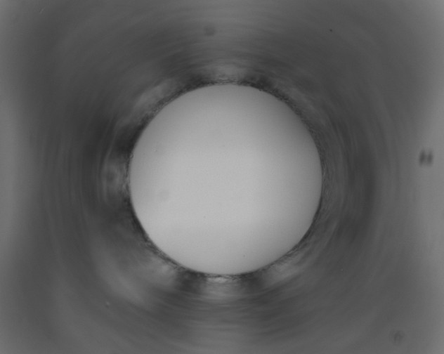 X0000093090240200710101524