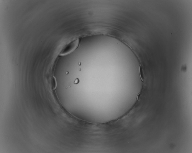 X0000093090241200710101523