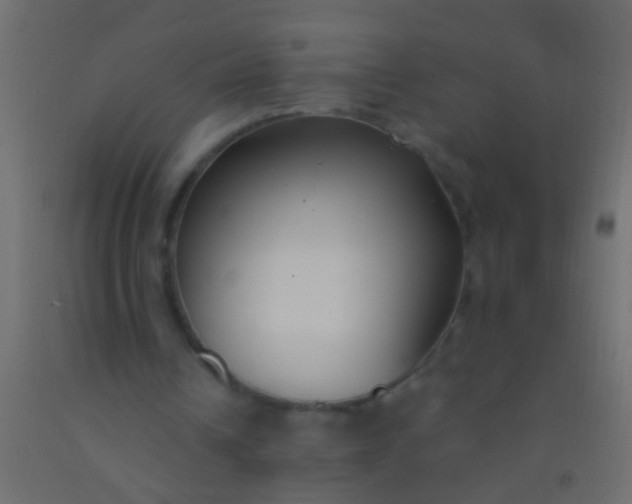 X0000093090242200710101523