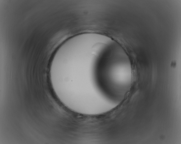 X0000093090243200710101523