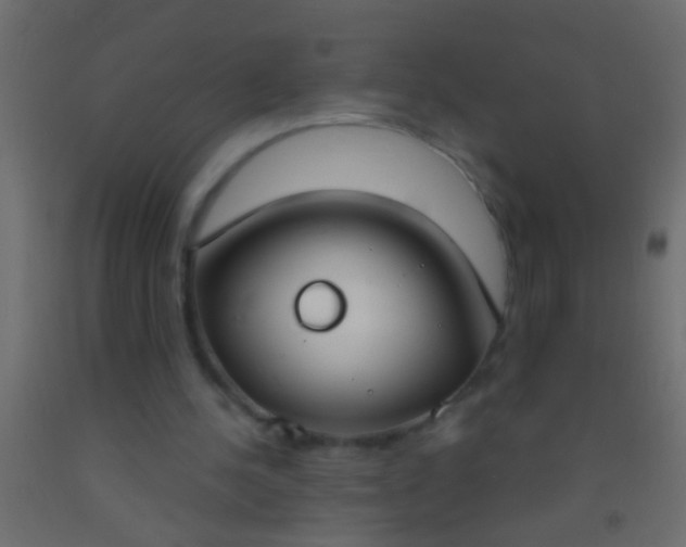 X0000093090244200710101523