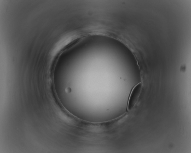 X0000093090245200710101523