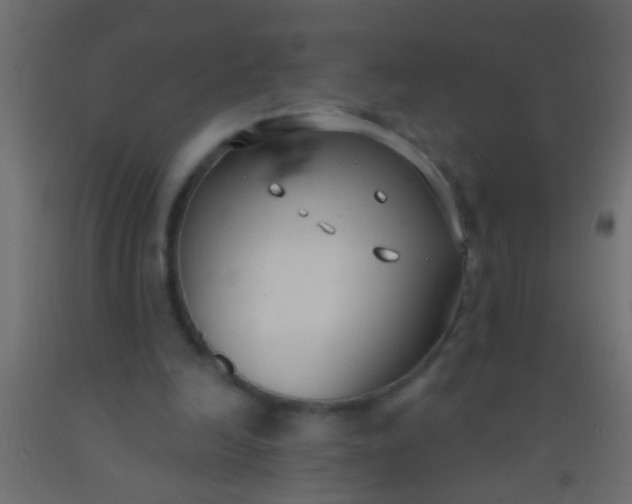 X0000093090246200710101523