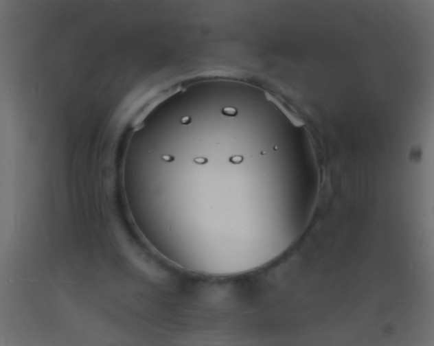 X0000093090247200710101523