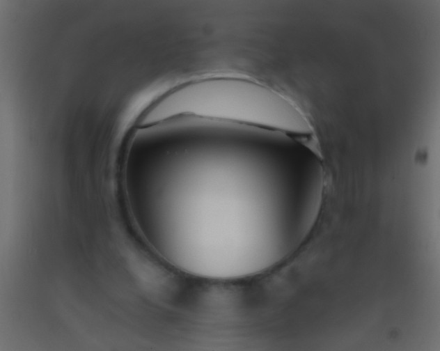 X0000093090248200710101523