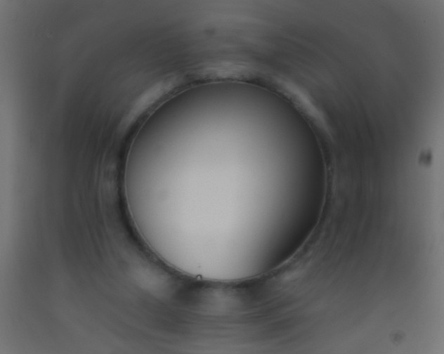 X0000093090250200710101523