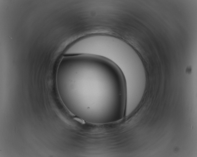 X0000093090252200710101523