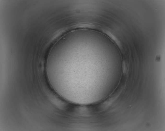 X0000093090253200710101523