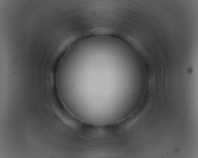 X0000093090254200710101523