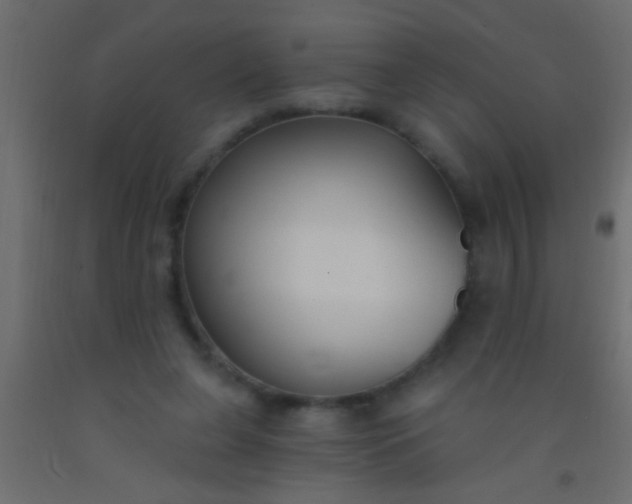 X0000093090255200710101523