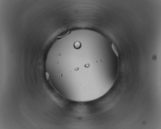 X0000093090256200710101523