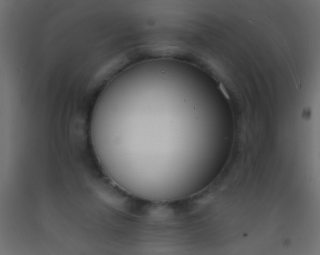 X0000093090258200710101523