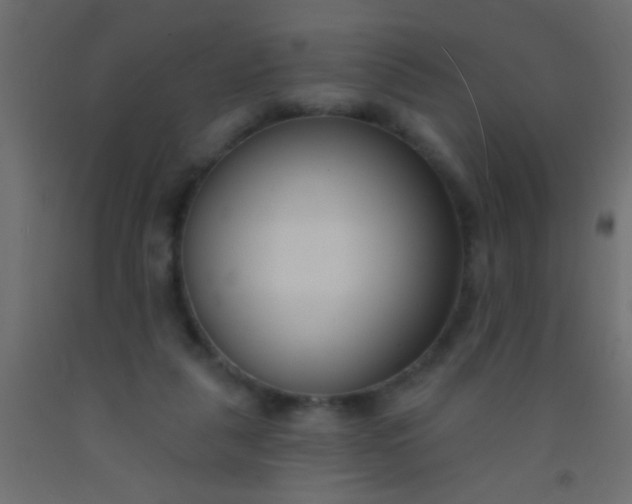 X0000093090259200710101523