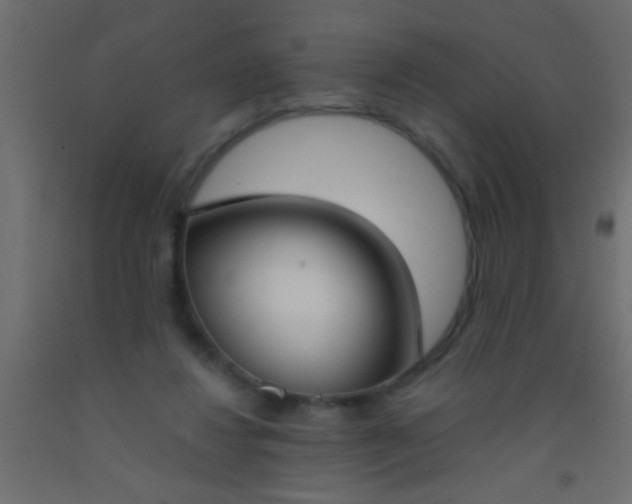 X0000093090260200710101523