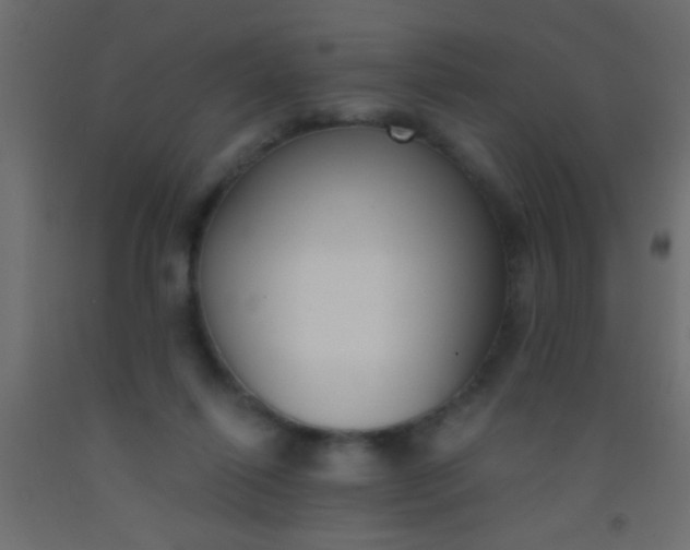 X0000093090262200710101523