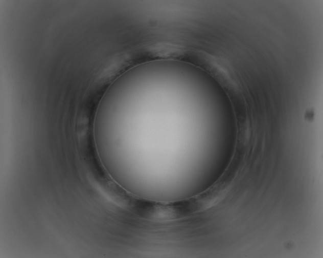 X0000093090263200710101523