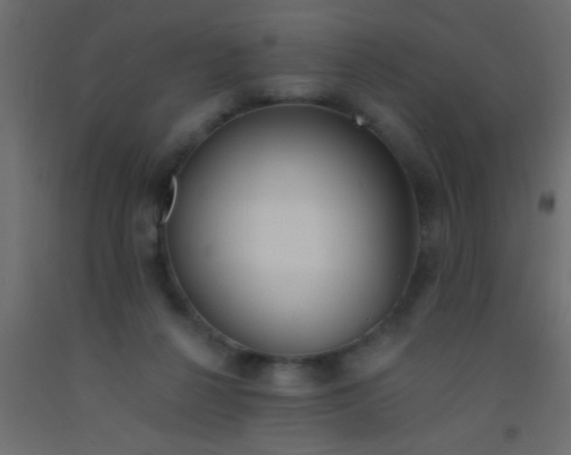 X0000093090264200710101523