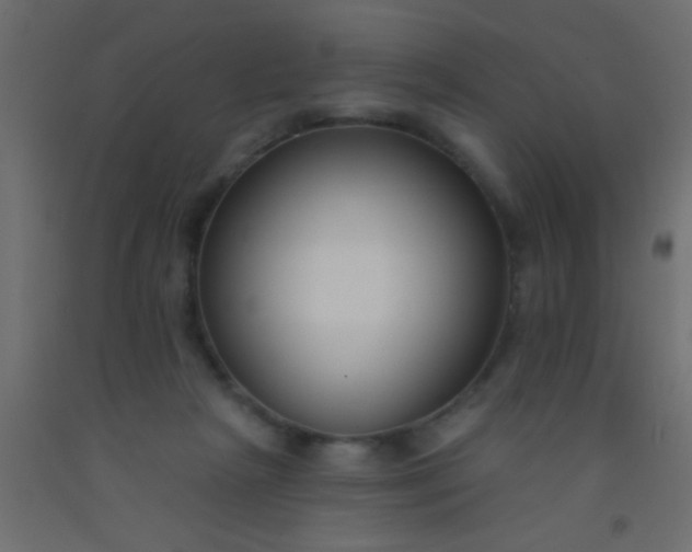 X0000093090265200710101523