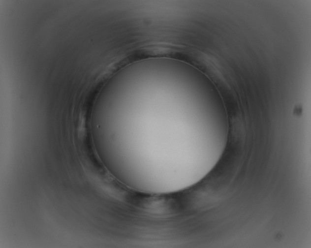 X0000093090267200710101523