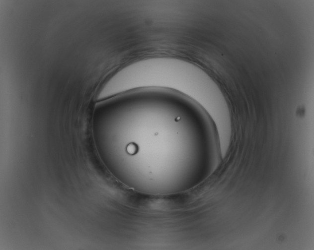 X0000093090268200710101523