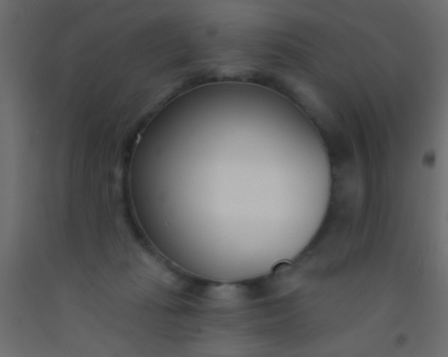 X0000093090269200710101523