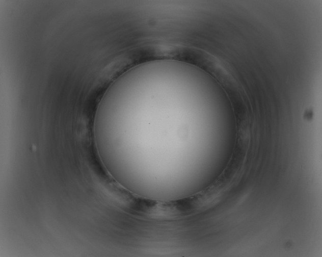 X0000093090270200710101523