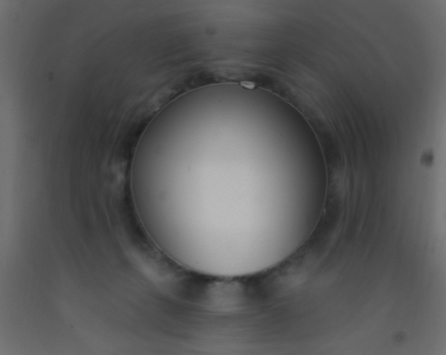 X0000093090271200710101523