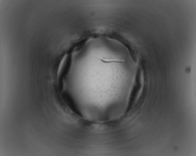 X0000093090272200710101523