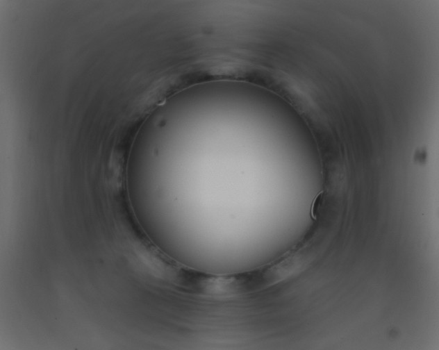 X0000093090273200710101523