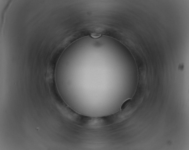 X0000093090274200710101523