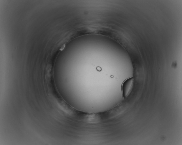 X0000093090275200710101523