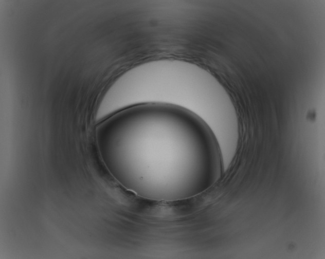 X0000093090276200710101523