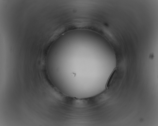 X0000093090277200710101523