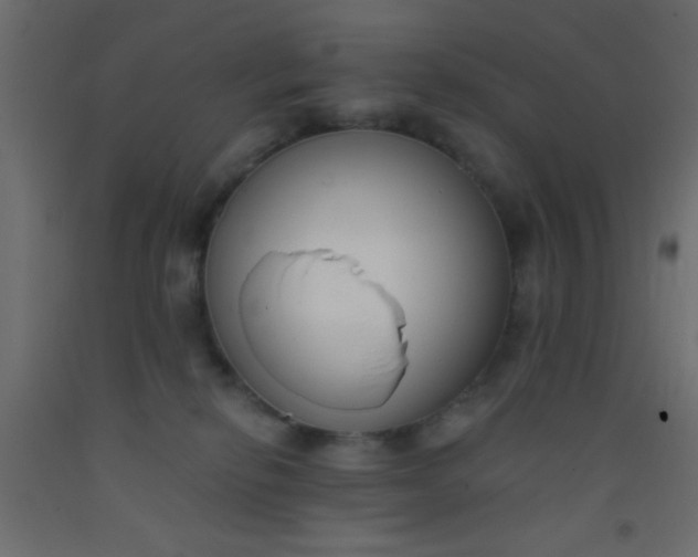 X0000093090278200710101523