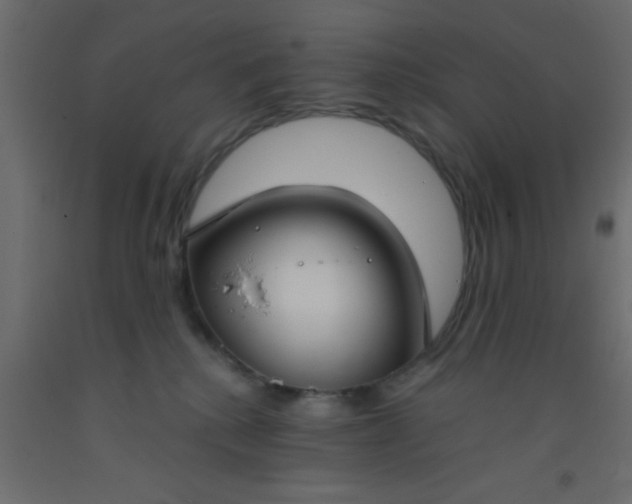 X0000093090280200710101523