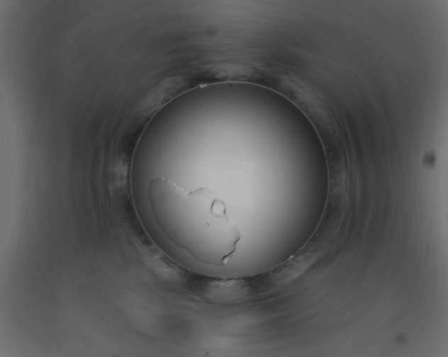 X0000093090281200710101523