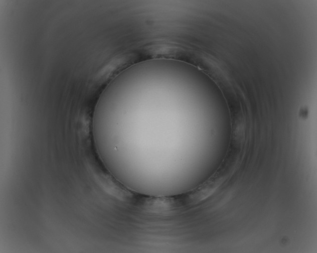 X0000093090282200710101524