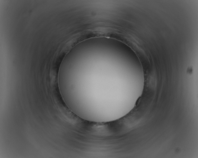 X0000093090283200710101524