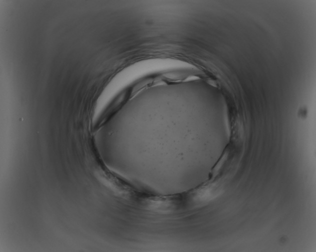 X0000093090284200710101524