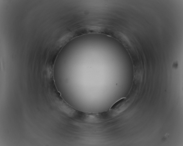 X0000093090285200710101524