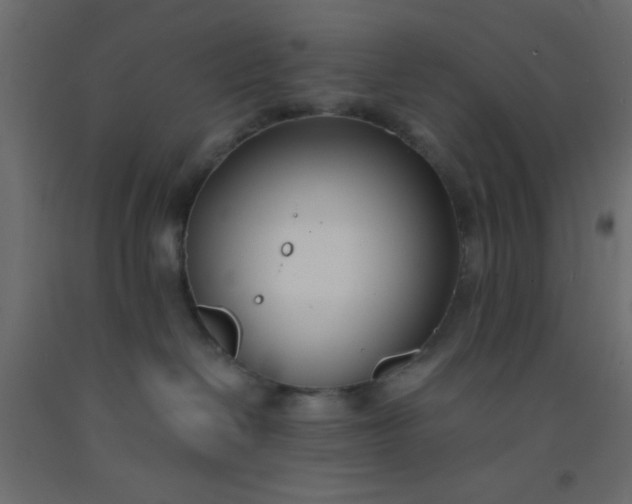 X0000093090286200710101524