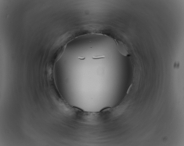 X0000093090288200710101524