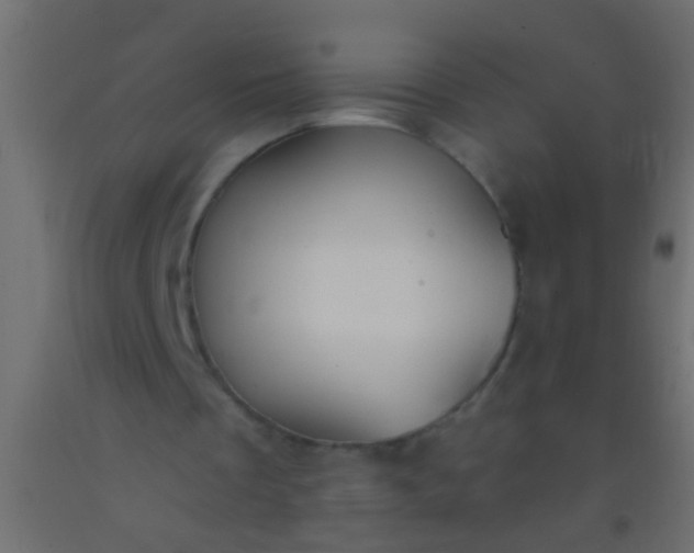 X0000093090289200710101523