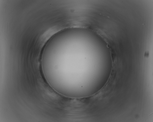 X0000093090290200710101523