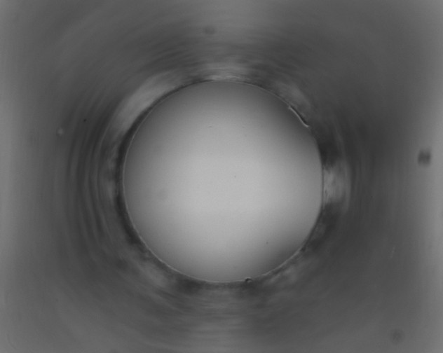 X0000093090291200710101523