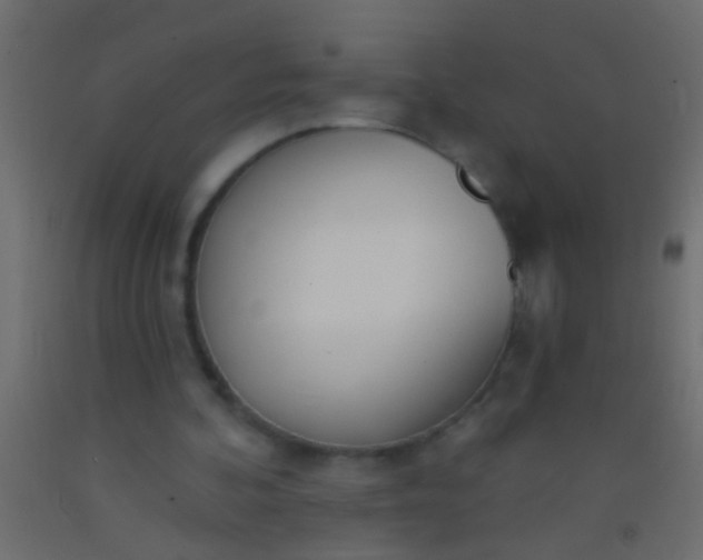 X0000093090292200710101523